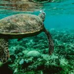 Мрачните тайни на Средиземноморието: Човешкото влияние достига до 1000 метра дълбочина